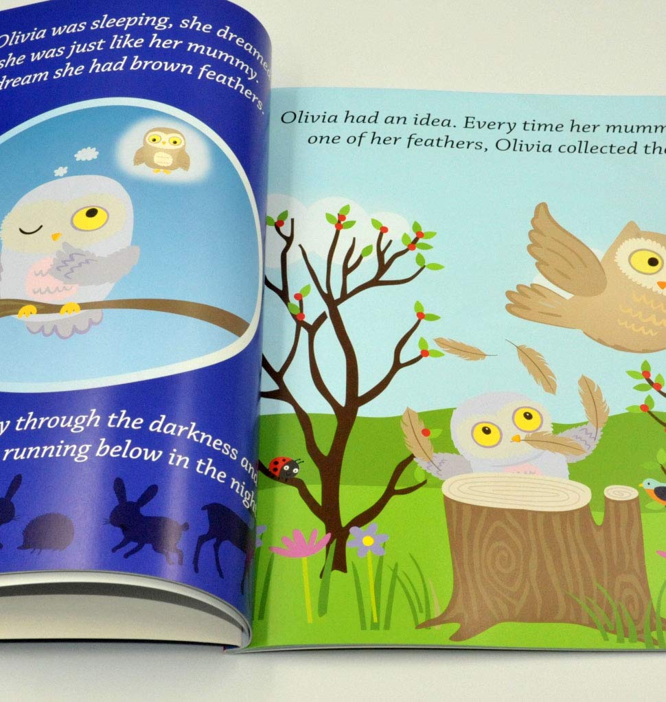 Picture Book – Olivia’s Feathers