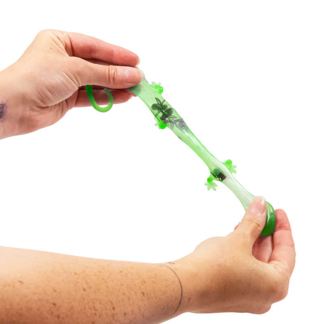 Gruesome Critter – Stretch, Squeeze, and Discover the Creepy Crawlies Inside!