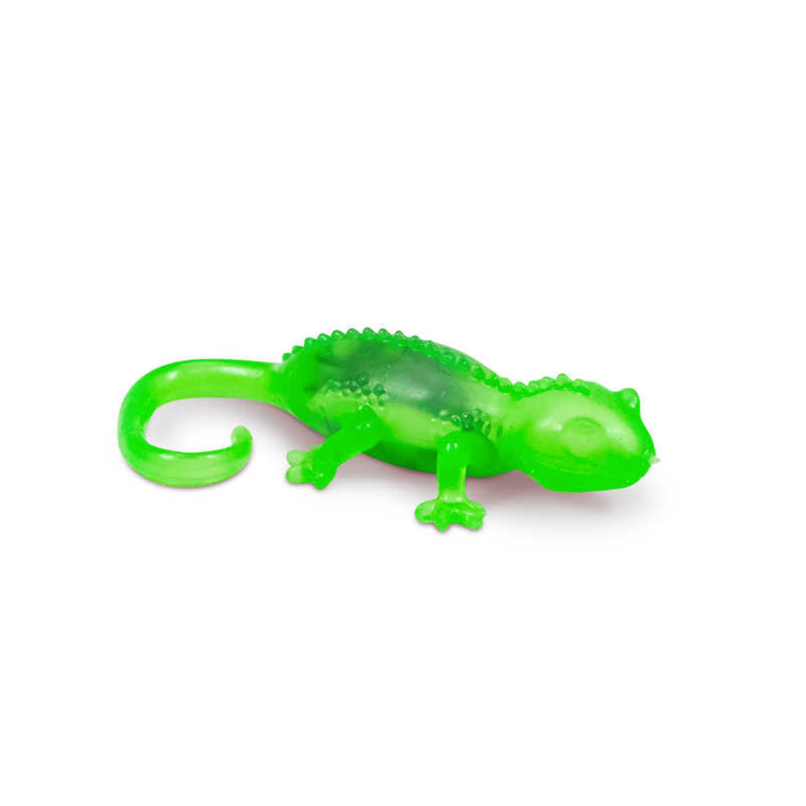 Gruesome Critter – Stretch, Squeeze, and Discover the Creepy Crawlies Inside!