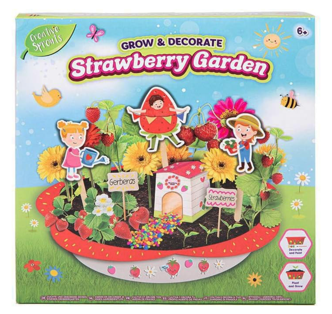 Grow & Paint Your Own Strawberry Garden – A Sweet and Creative Gardening Kit for Kids