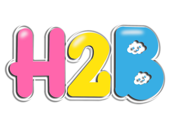 H2B TOYS Limited